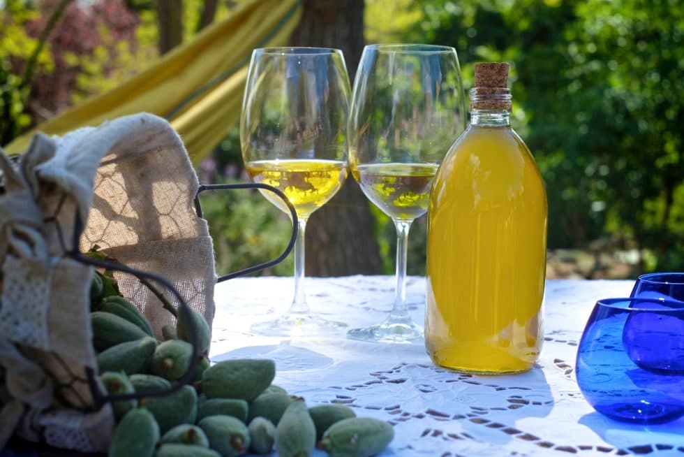 Tast de vins i oli entre vinyes