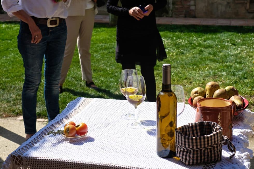 Tast de vins i oli entre vinyes 2